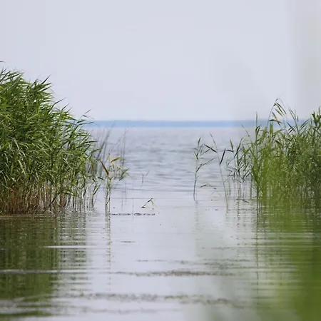 Am-Schlossundhaff Stolpe auf Usedom